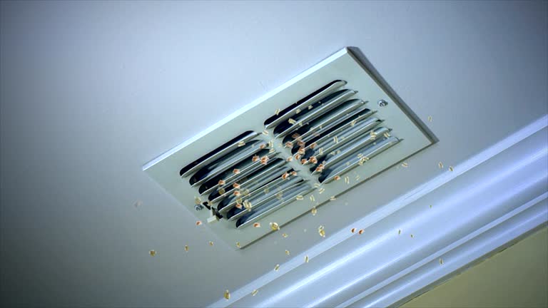 Best Commercial Air Duct Cleaning  in Southern Pines, NC
