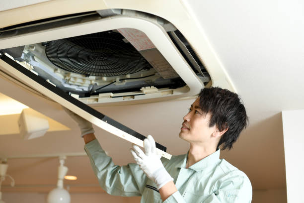 Best Air Duct Mold Removal  in Southern Pines, NC